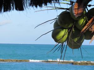 Apart Hotel Marinas Tamandaré