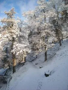 Goiko-Benta Ostatua - Arrasate - Mondragon