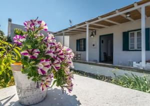 Mandrakia Bliss House Milos Greece