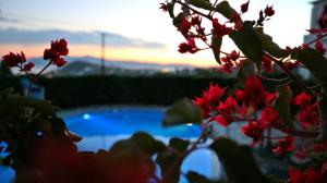 Hotel Proteas Naxos Greece