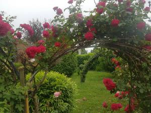 Zsigmond Vendégház