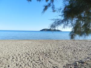 Turtle's nest Zakynthos Greece