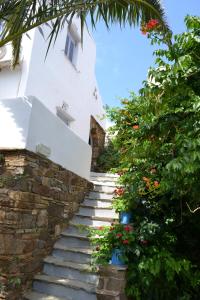 Ioanna Studios Tinos Greece