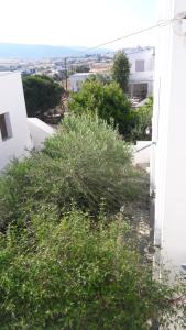 Thalia Apartment Paros Greece