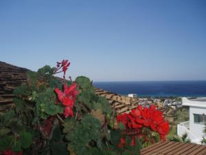 Myrtia Studios Tinos Greece