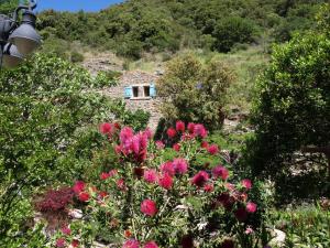 Maisons de vacances La Bergerie et La Grange du Moulin de Tredos : photos des chambres