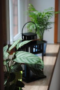 Ferienwohnung An der Gramme