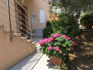 Longo Apartment