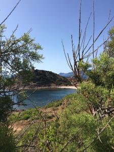 Caricia img33