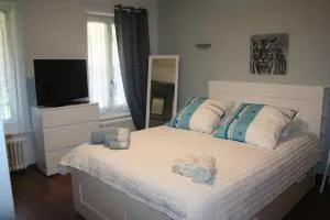 Hotel du Lac Grandson - Bullet