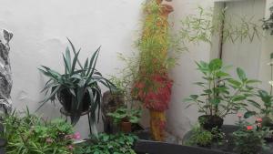 B&B / Chambres d'hotes O Anges : photos des chambres