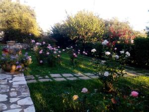 Villa Rose Garden