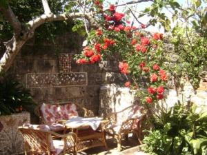 Apartment ANDRIUCI