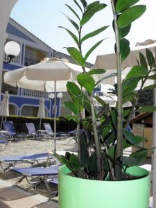 Hotel Petros Zakynthos Greece