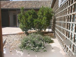 Albergue Coto Real de la Marina