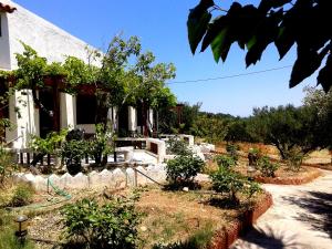 Sunrise Apartments Lasithi Greece