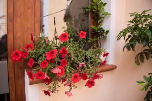 B&B Quintino Sella img27