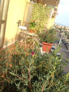 Leucosia Bed & Breakfast