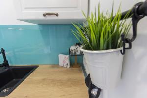 Luxury Apartment Ante