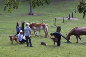 Valla Beach Top Spot