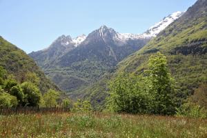 Maisons d'hotes Roulottes Montagne Pyrenees : photos des chambres