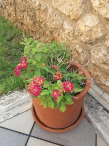 Captain Studios Spetses Greece