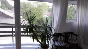 Vilnius Luxury Apartment 1