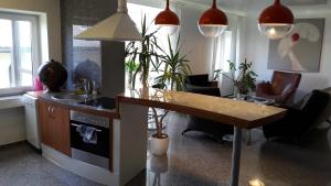 Vilnius Luxury Apartment 1