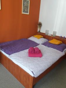 Apartmán Olomouc 2+KK