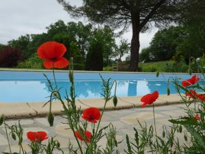 Maisons de vacances Au Moulie : photos des chambres