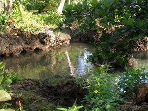 Piscina Natural on the Sea - Unrated properties in Cahuita