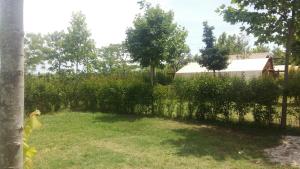 Glamping Agricampeggio Tognoni
