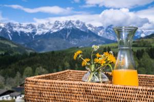 Steinberghaus Ferienhaus