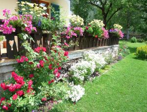 Ferienhaus Anke - Ausseerland Salzkammergut