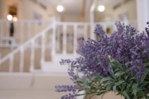 Family Inn Apartments&suites Halkidiki Greece