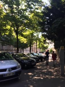 Appartements Le Jardin Darcy Liberte Hyper centre gare-ville parking public payant dans la rue : photos des chambres