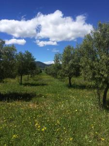 Domaine De Camp Joyeux photo 9