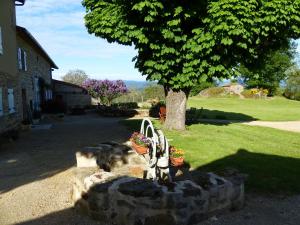 Chez Tiane Puy de Dôme photo 6