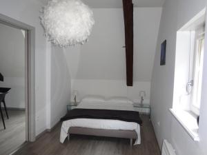 Appartements A L'ill - Apparts & Studios Strasbourg Hyper Centre : photos des chambres