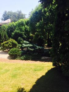 Alfrédó Delux Apartman Nyíregyháza-Sóstófürdő