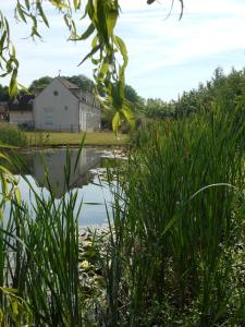 B&B / Chambres d'hotes Ferme De La Canardiere : photos des chambres
