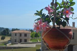 Luxurious Stone House in Elani Halkidiki Greece