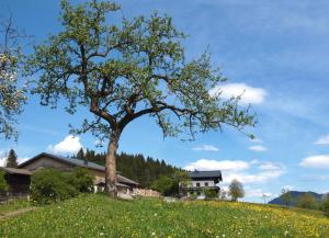 Pansion Unterhofgut Goldegg Austria