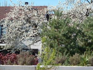 Duplex Fontainebleau photo 18