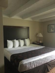 King Room - Disability Access/Non-Smoking room in Days Inn by Wyndham Bloomington West