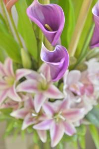 Hôtel Renoir Montparnasse