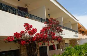 Appart'hotels Residence Les Mandariniers : photos des chambres