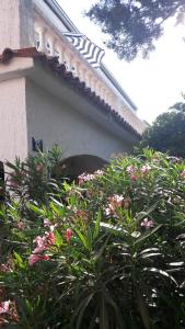 Apartman Karlo