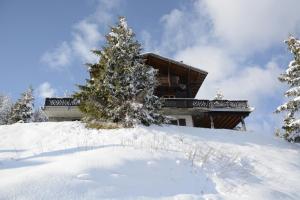 Penzion Chalet La Folie Les Crosets Švýcarsko