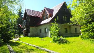 Czajka B&B